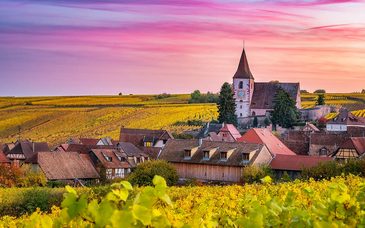 Alsace Wine Region