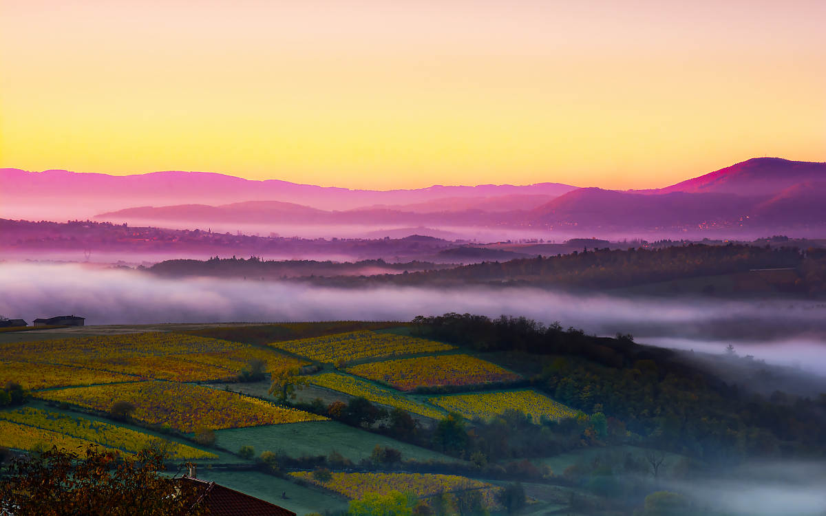 Burgundy (Bourgogne) Wine Region
