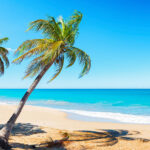 Guadeloupe Overseas Territory