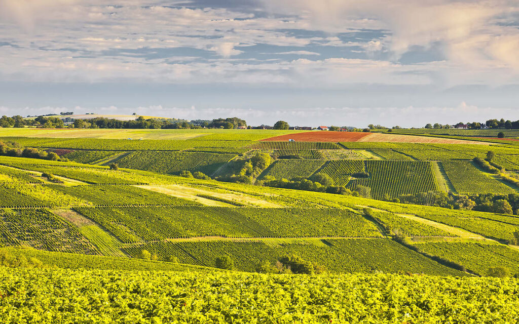 Loire Valley Wine Region