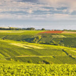 Loire Valley Wine Region