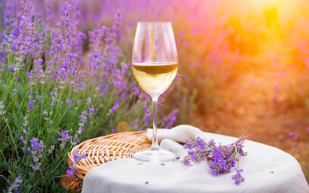 Provence Wine Region