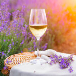 Provence Wine Region