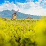 Rhône Valley Wine Region