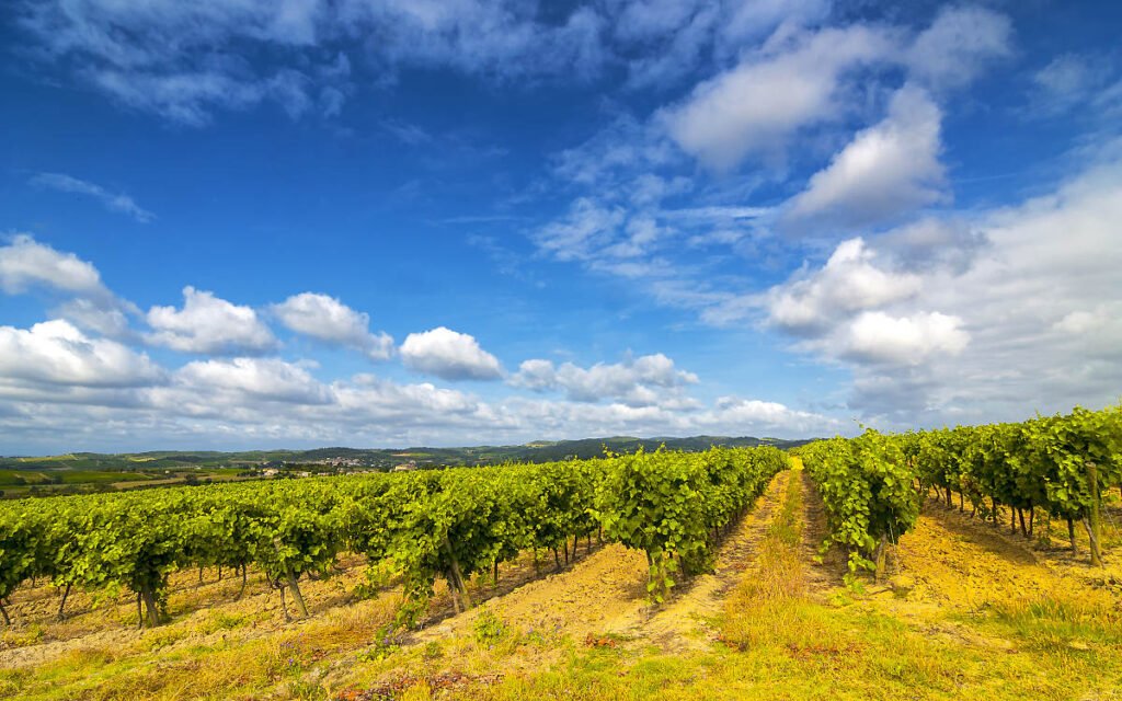 Southwest France (Sud-Ouest) Wine Region