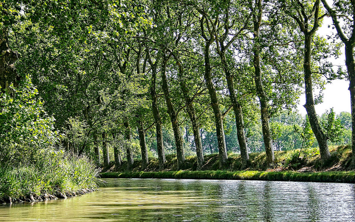 Canal du Midi